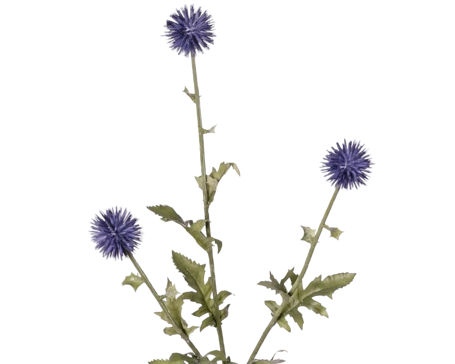 Thistle | Chardon 76cm Blue