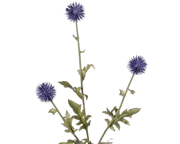 Thistle | Chardon 76cm Blue