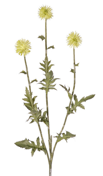 Thistle | Chardon 76cm Green