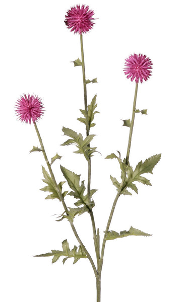 Thistle | Chardon 76cm Pink
