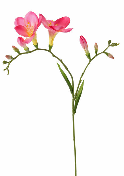 Freesia 65cm Pink