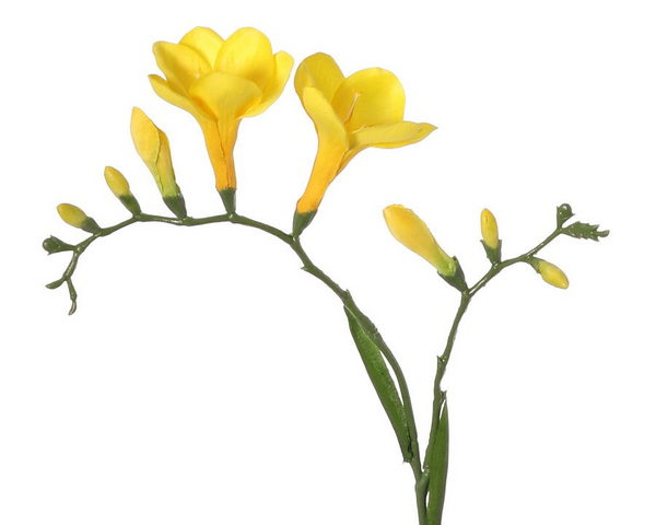 Freesia 65cm Yellow