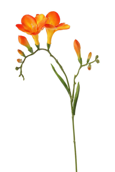 Freesia 65cm Orange