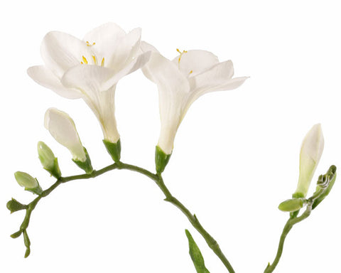 Freesia Artificiel MARUSHA Rose – Branche Fleurie 65 Cm, Décoration Intérieure Durable