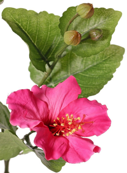 Hibiscus 80cm Pink