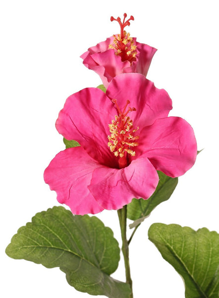 Hibiscus 80cm Pink