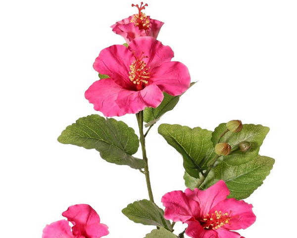 Hibiscus 80cm Pink