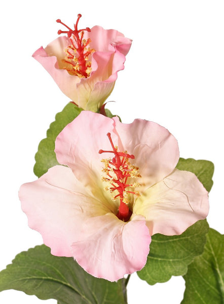 Hibiscus 80cm Light Pink