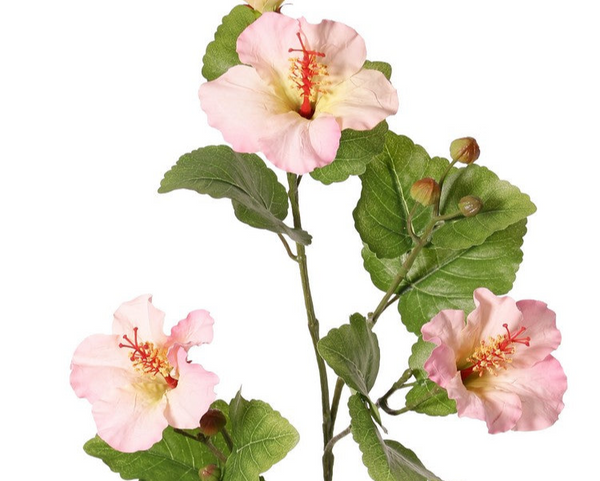 Hibiscus 80cm Light Pink