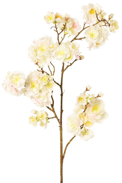 Cherry Blossom | Fleurs de Cerisier 92cm Creme