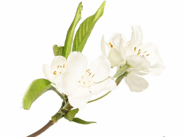 Pear blossom | Fleurs de Poirier 115cm White