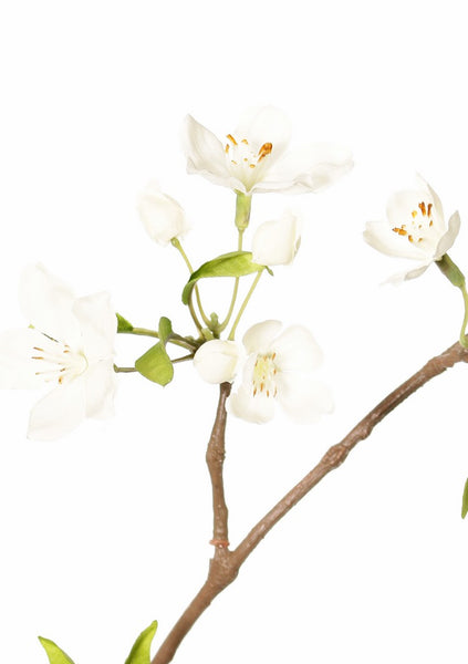 Pear blossom | Fleurs de Poirier 115cm White