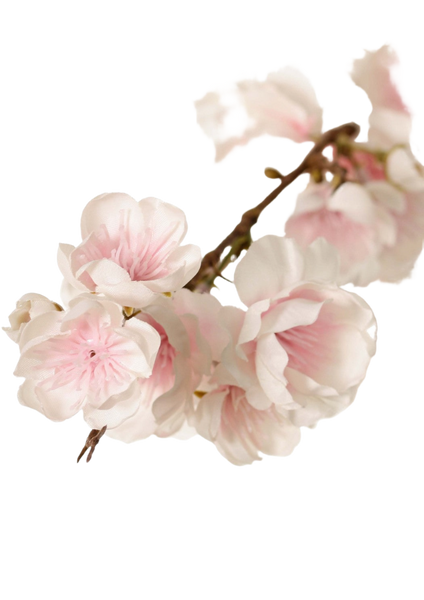 Cherry Blossom | Fleurs de Cerisier 127cm Pink