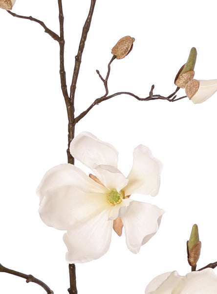 Magnolia 107cm Cream