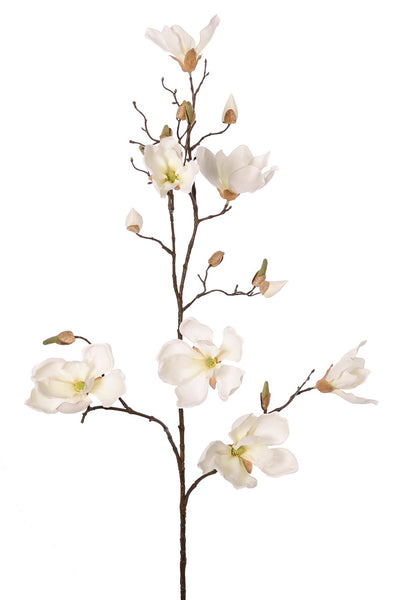 Magnolia 107cm Cream