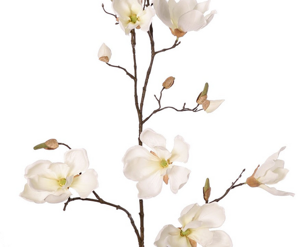 Magnolia 107cm Cream