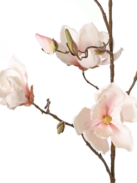 Magnolia 107cm Cream Pink