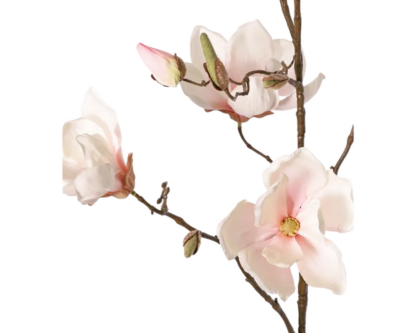 Magnolia 107cm Cream Pink