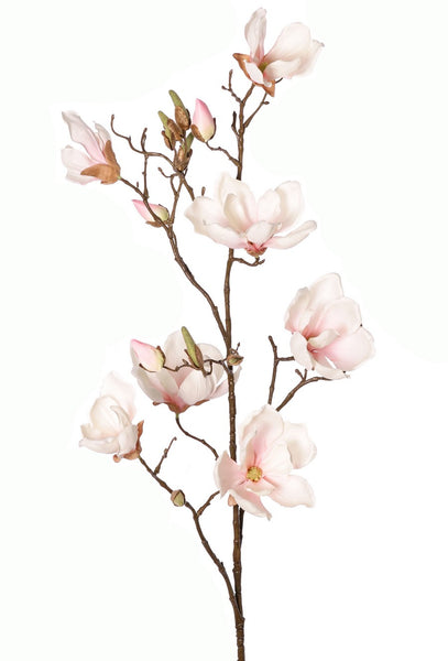 Magnolia 107cm Cream Pink