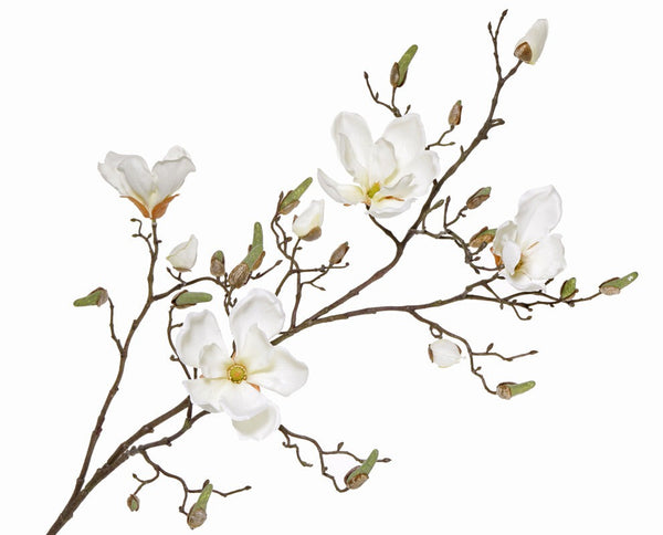 Magnolia 107cm Cream