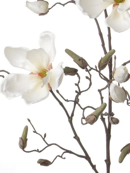 Magnolia 107cm Cream