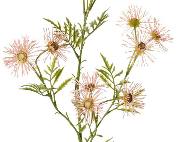 Daisy | Marguerite 70cm Pink