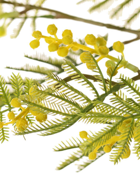 Mimosa 77cm Yellow
