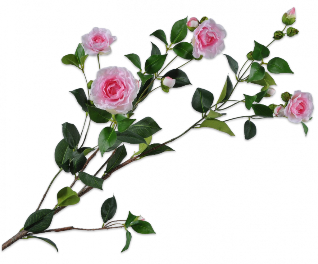 Camellia | Camélia 137cm Pink