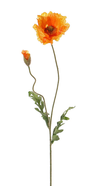 Poppy | Pavot 65cm Orange