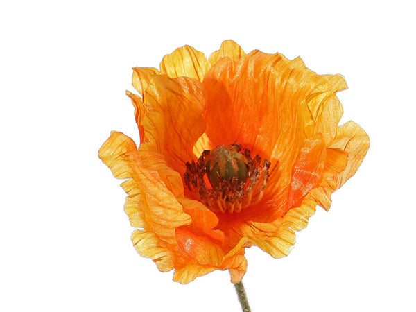 Poppy | Pavot 65cm Orange