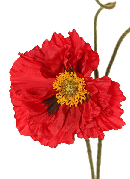 Poppy | Pavot 90cm Red