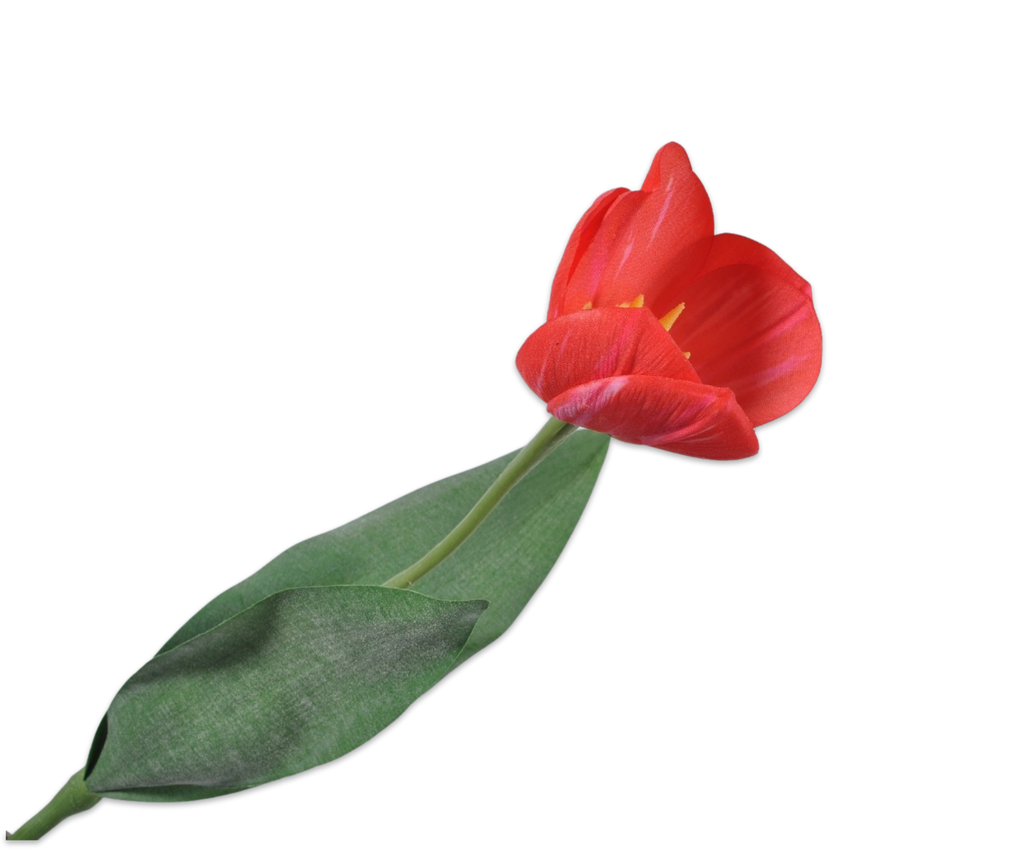 Tulip | Tulipe 36cm Red