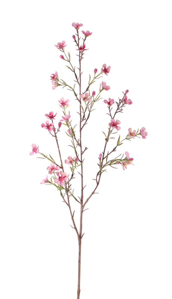 Waxflower | Fleur de cire 78cm Pink