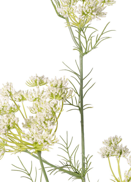 Queen Anne's Lace | Aneth 78cm White
