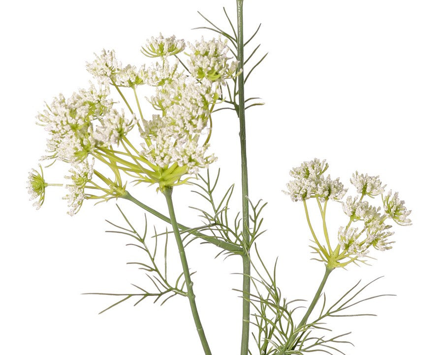 Queen Anne's Lace | Aneth 78cm White