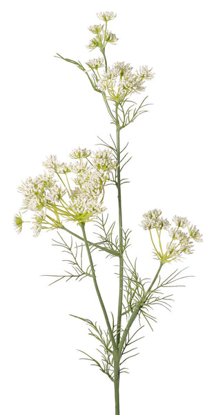 Queen Anne's Lace | Aneth 78cm White
