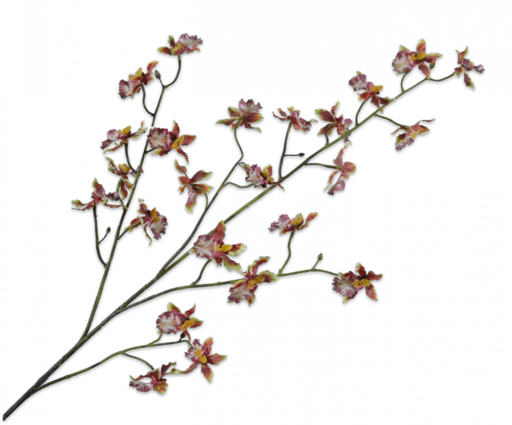 Orchid | Orchidée 100cm Brown Green