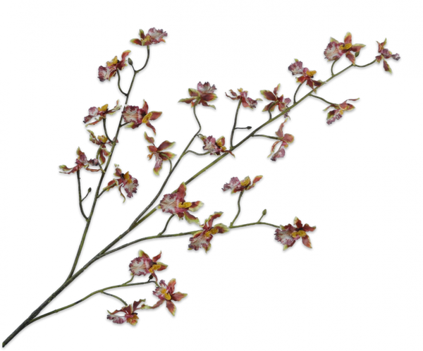 Orchid | Orchidée 100cm Brown Green