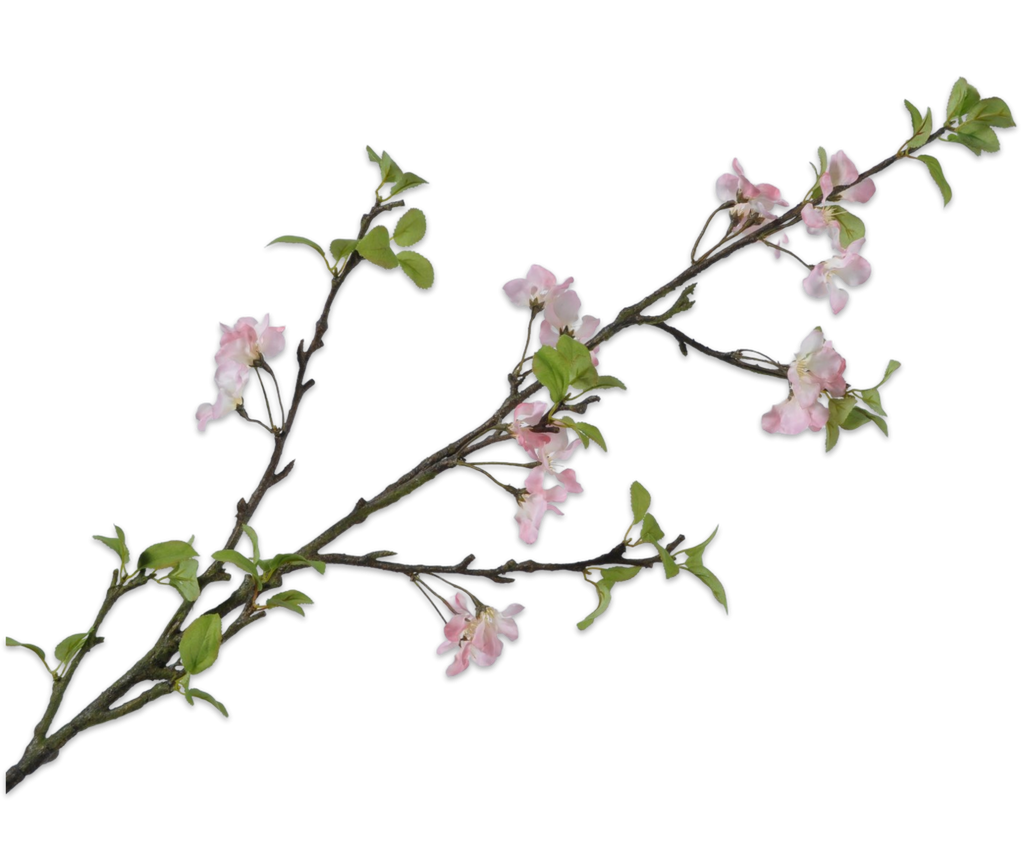 Apple blossom | Fleurs de Pommier 136cm Pink