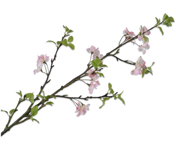 Apple blossom | Fleurs de Pommier 136cm Pink