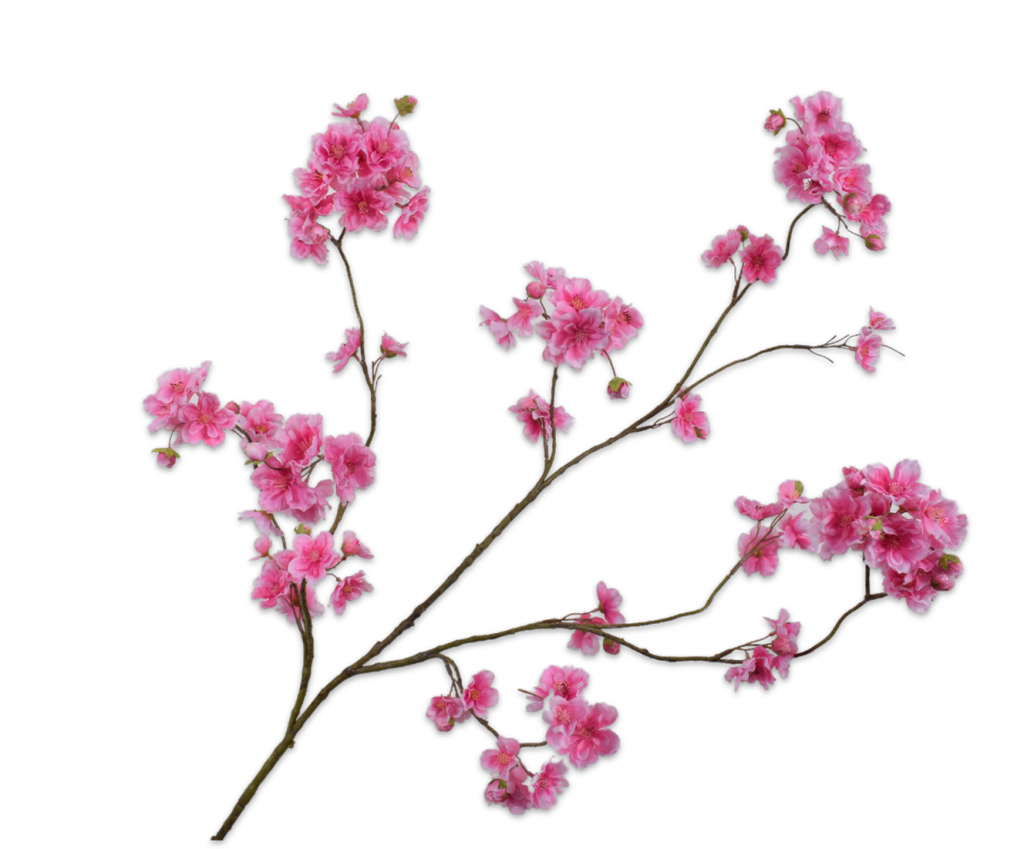 Cherry Blossom | Fleurs de Cerisier 127cm Dark Pink