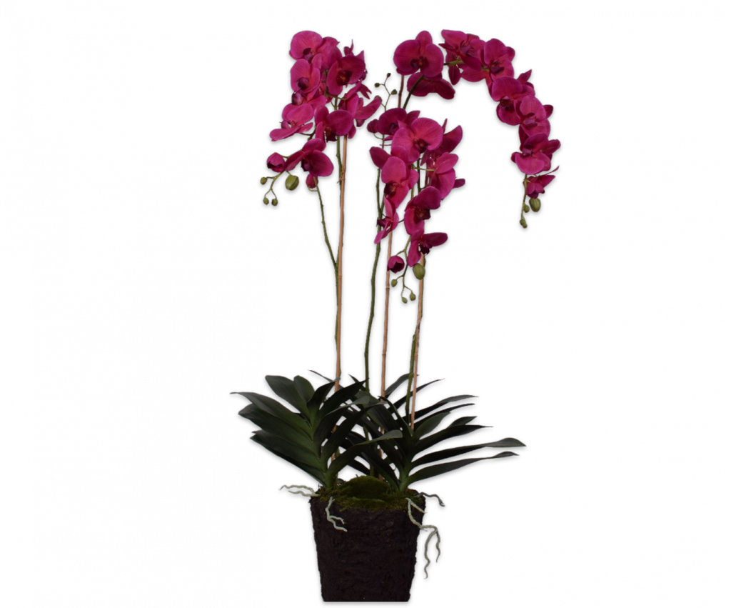 Orchid | Orchidée 123cm Beauty