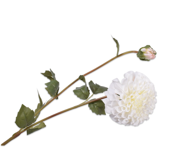 Dahlia 80cm White