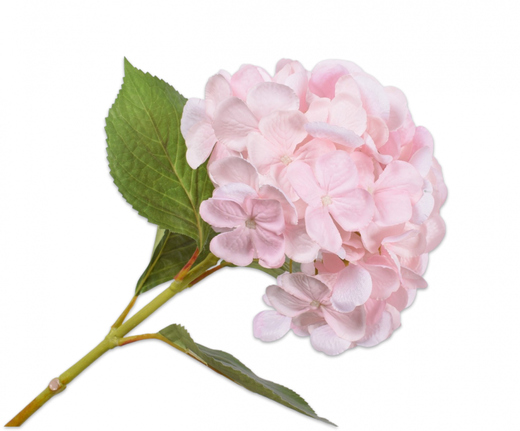 Hydrangea | Hortensia 65cm Light Pink