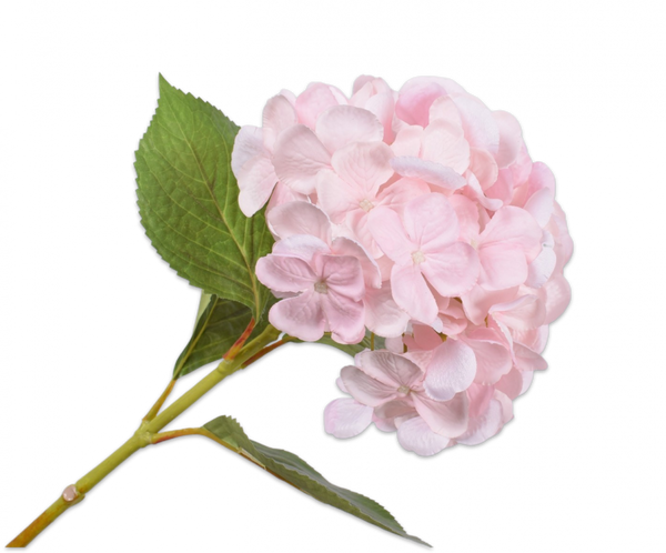Hydrangea | Hortensia 65cm Light Pink