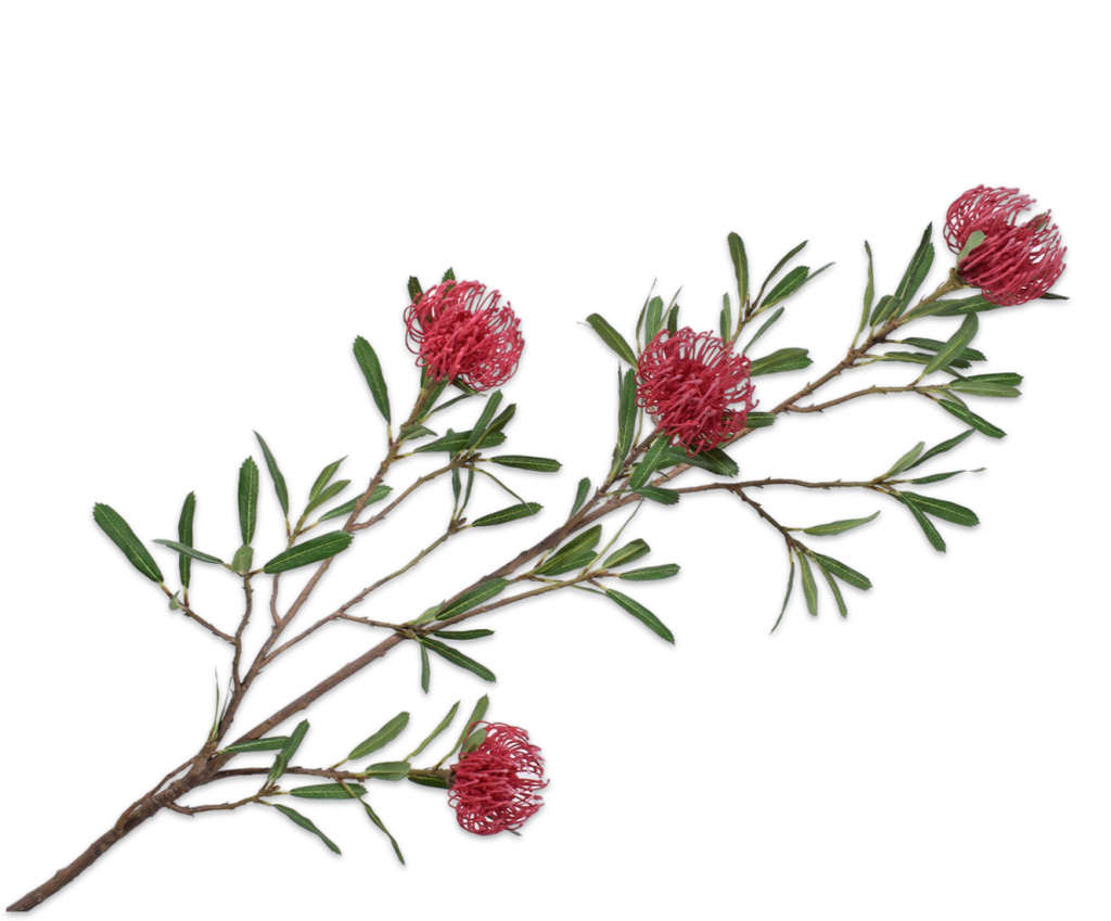 Protea 131cm Burgundy