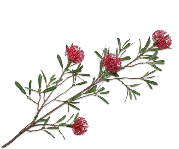 Protea 131cm Burgundy