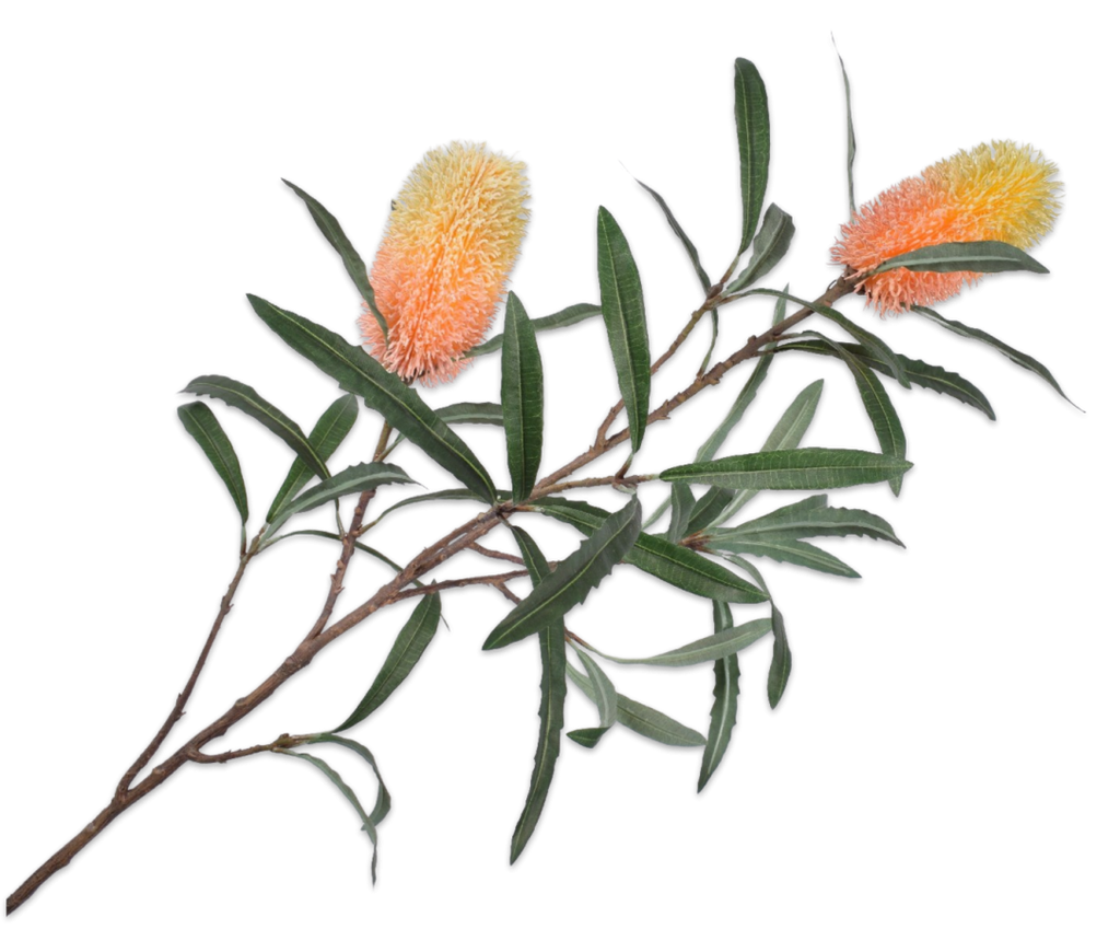 Protea 88cm Yellow Orange
