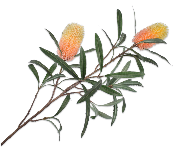 Protea 88cm Yellow Orange