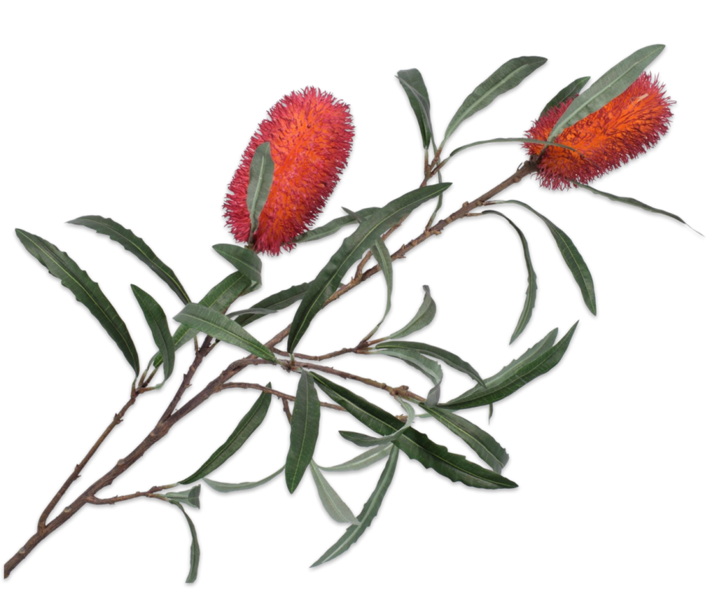 Protea 88cm Red